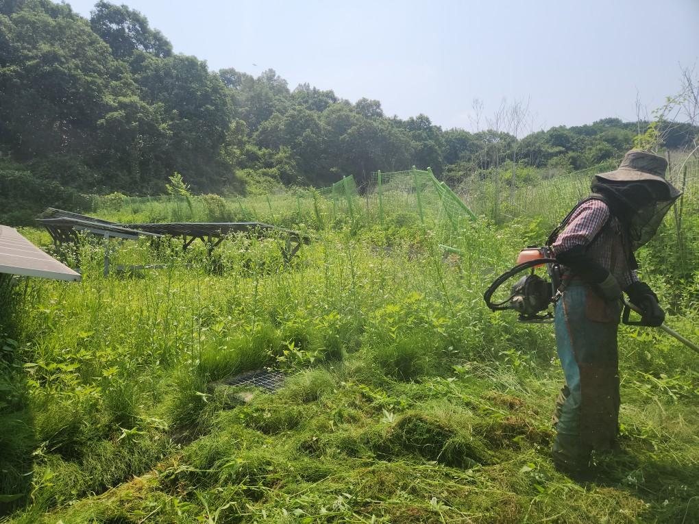 북삼리 북삼발전소 예초 작업 전