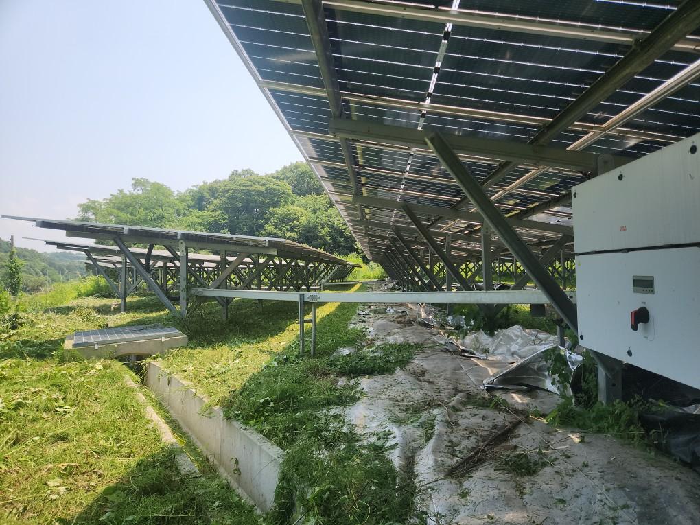 북삼리 북삼발전소 예초 작업 후