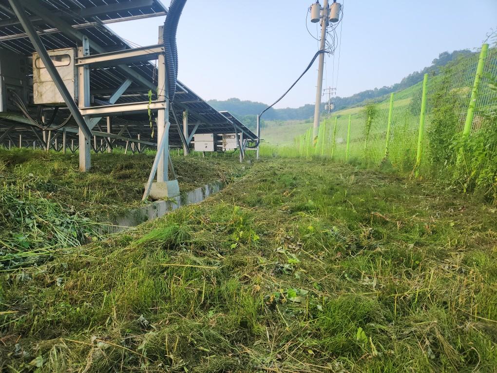 북삼리 북삼발전소 예초 작업 후