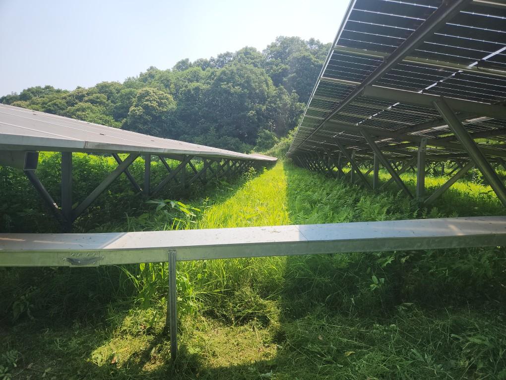 북삼리 북삼발전소 예초 작업 전