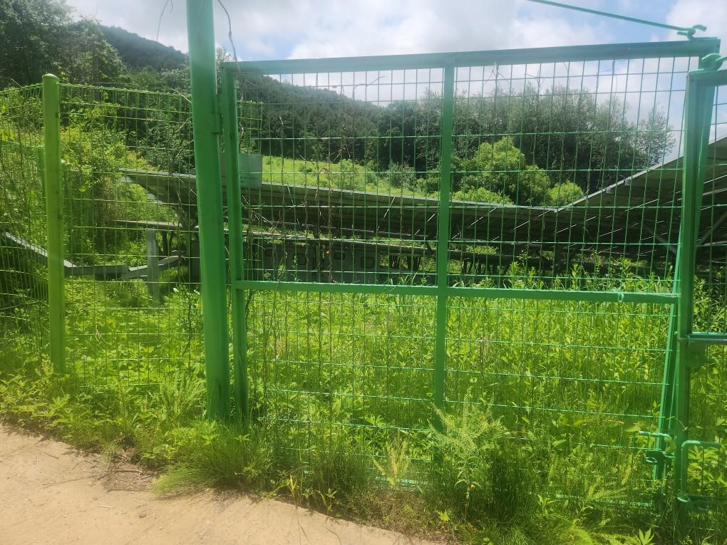 선곡리 선곡발전소 예초 작업 전