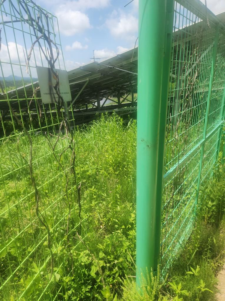 선곡리 선곡발전소 예초 작업 전