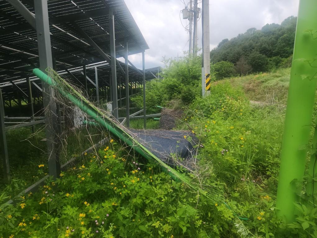 선곡리 제이엘선곡발전소 예초 작업 전