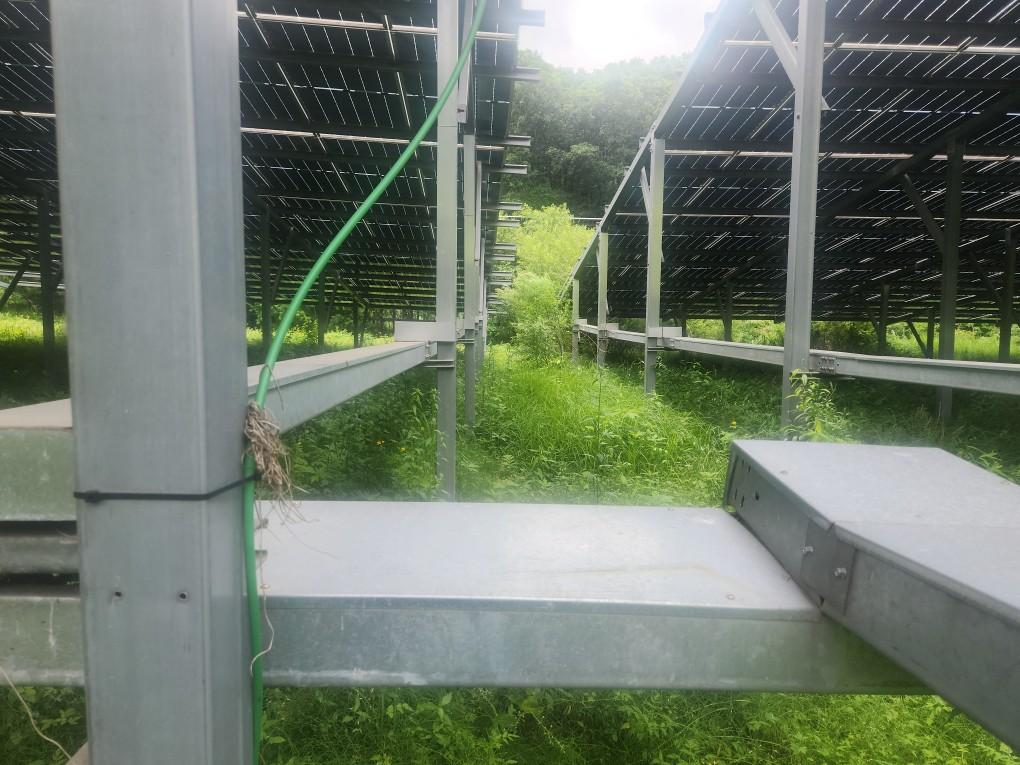 선곡리 제이엘선곡발전소 예초 작업 전
