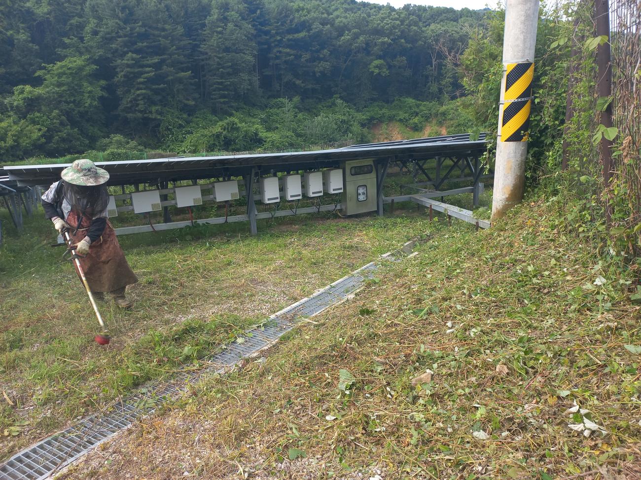 선곡리 햇빛선곡발전소 예초 작업 후