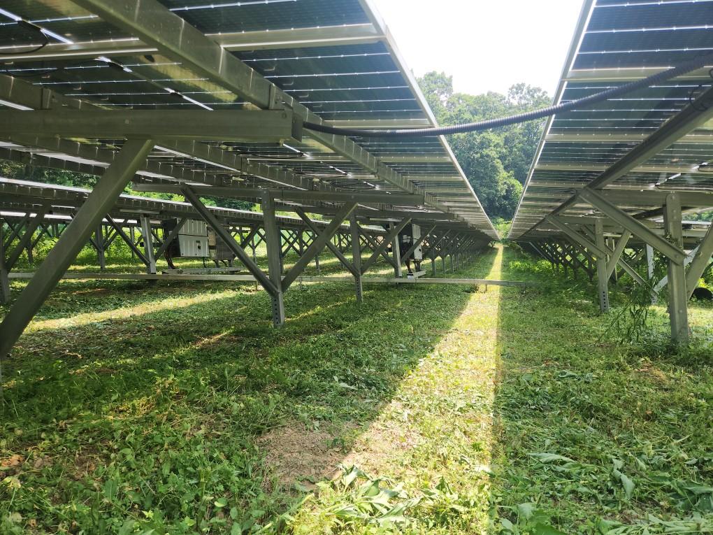 옥계리 옥계발전소 예초 작업 후