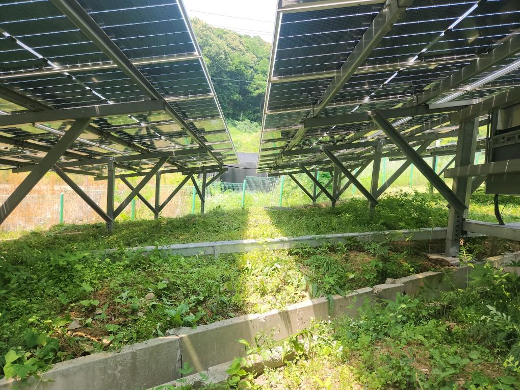 옥계리 옥계발전소 예초 작업 후