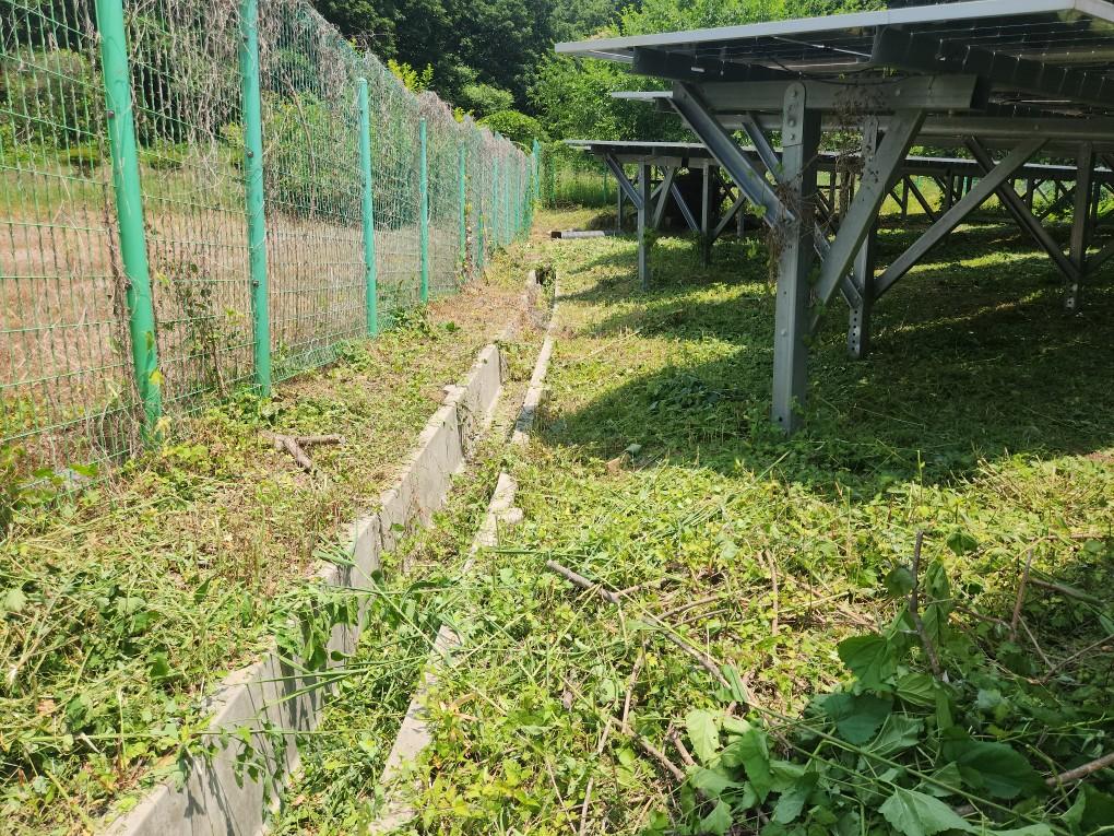 옥계리 옥계발전소 예초 작업 후