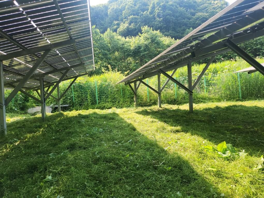왕림리 왕왕발전소 예초 작업 후