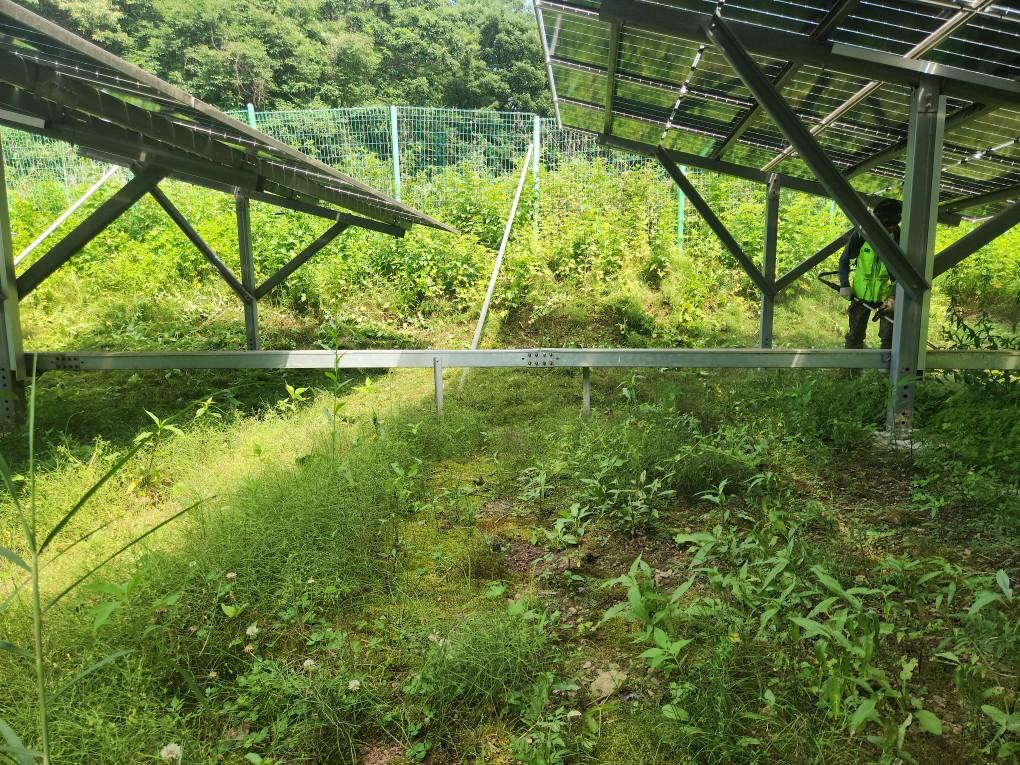 왕림리 왕왕발전소 예초 작업 전