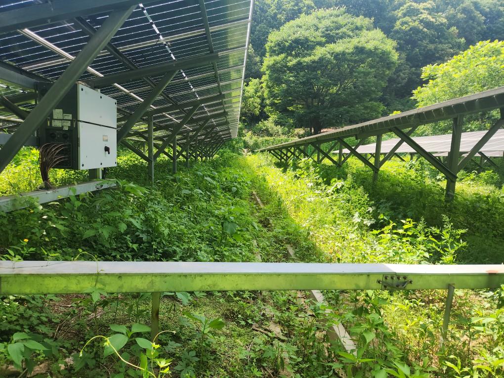 왕림리 왕왕발전소 예초 작업 전