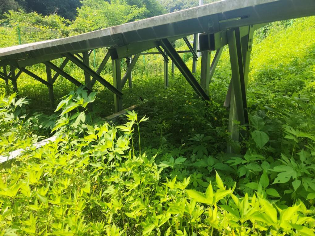 왕림리 왕왕발전소 예초 작업 전