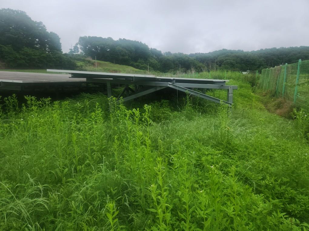 전동리 오른발전소 예초 작업 전