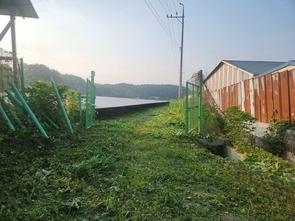 전동리 제이엘발전소 예초 작업 후