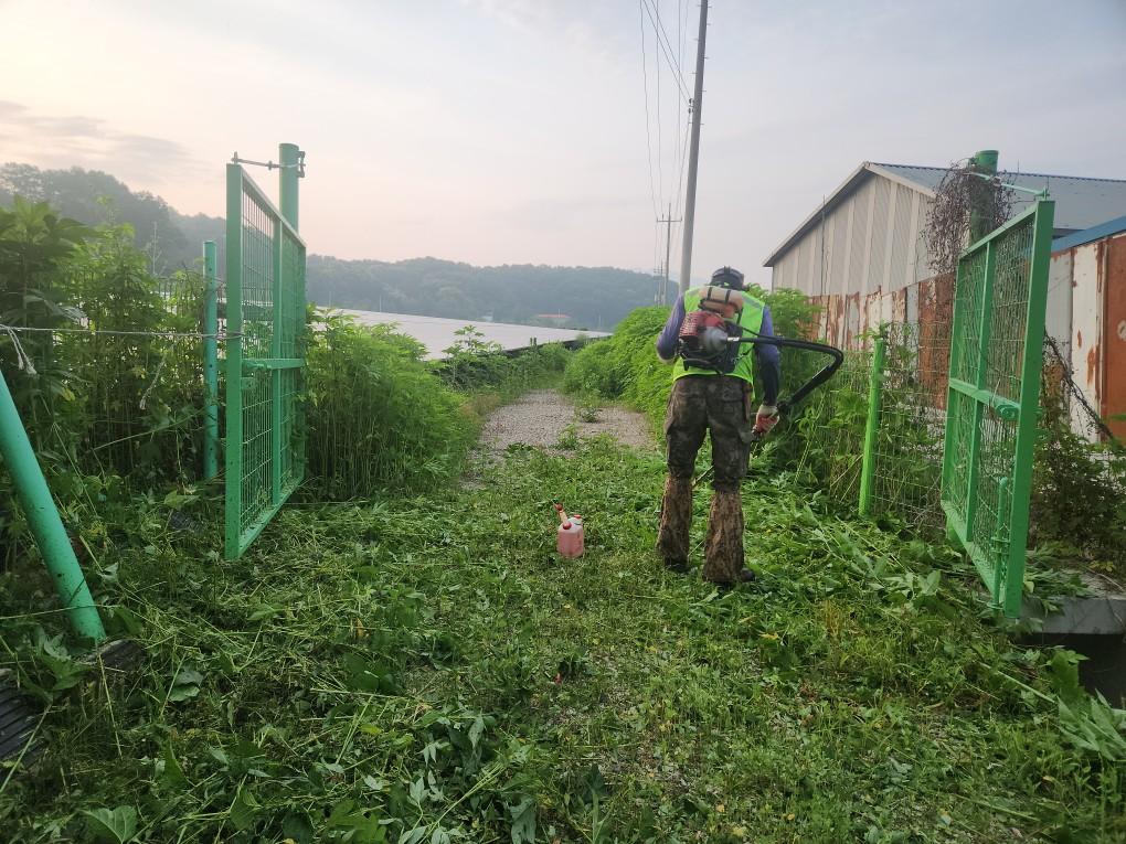 전동리 제이엘발전소 예초 작업 전