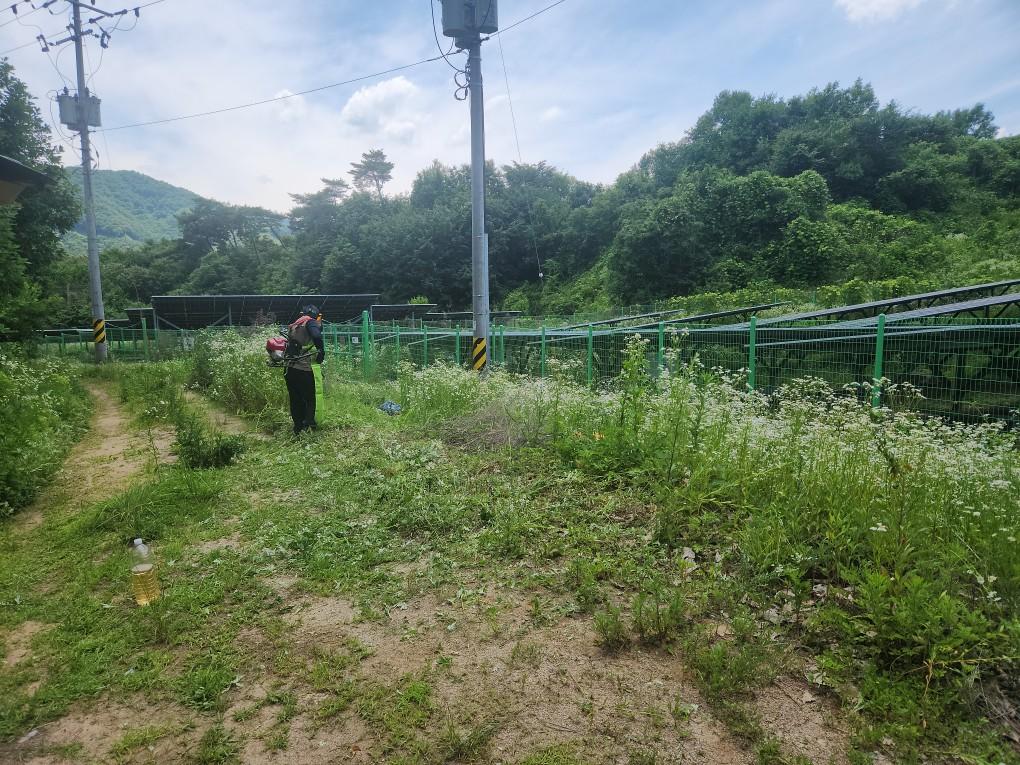 동막리 금성발전소 예초 작업 전
