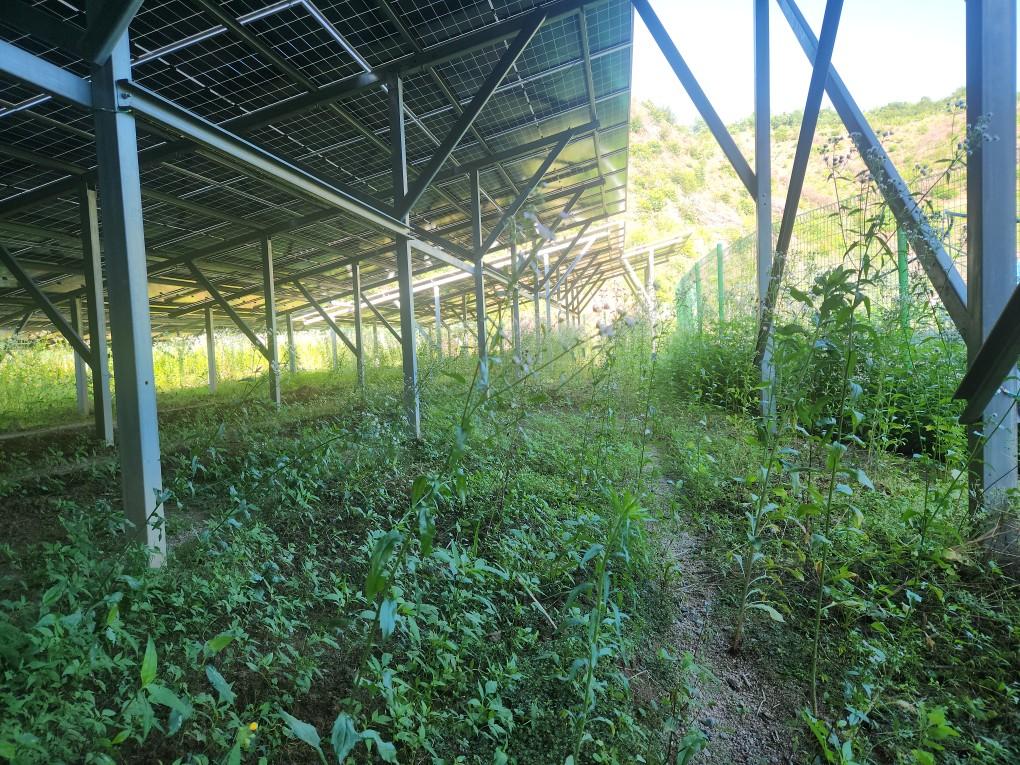 동막리 하늘동막발전소 예초 작업 전
