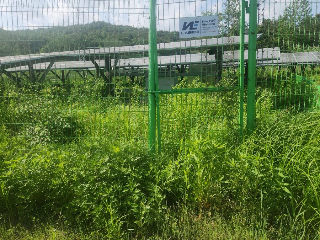 학사리 학사발전소 예초 작업 전