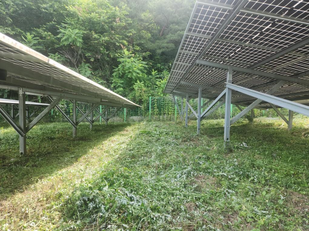용천리 용천발전소 예초 작업 후