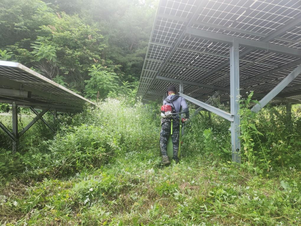 용천리 용천발전소 예초 작업 전