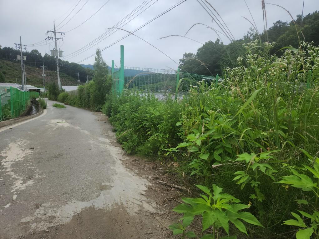 용천리 용천발전소 예초 작업 전