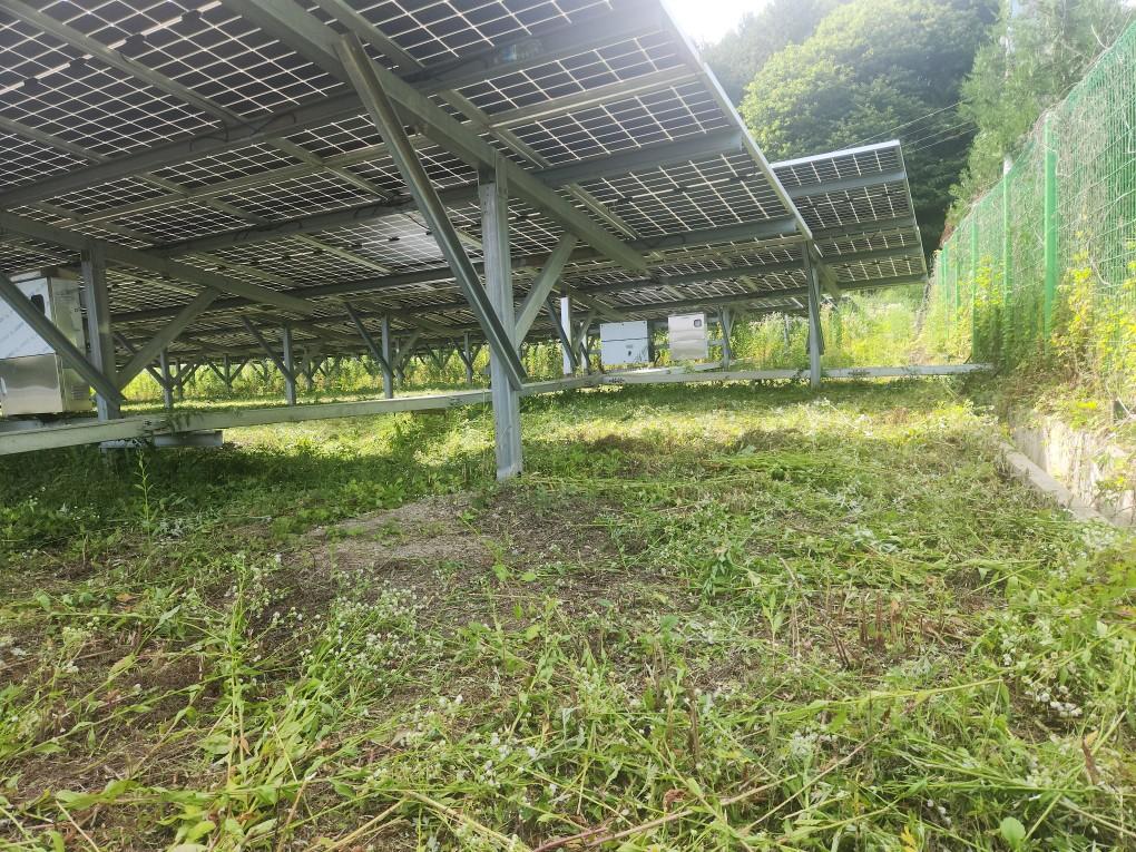 용천리 용천발전소 예초 작업 후
