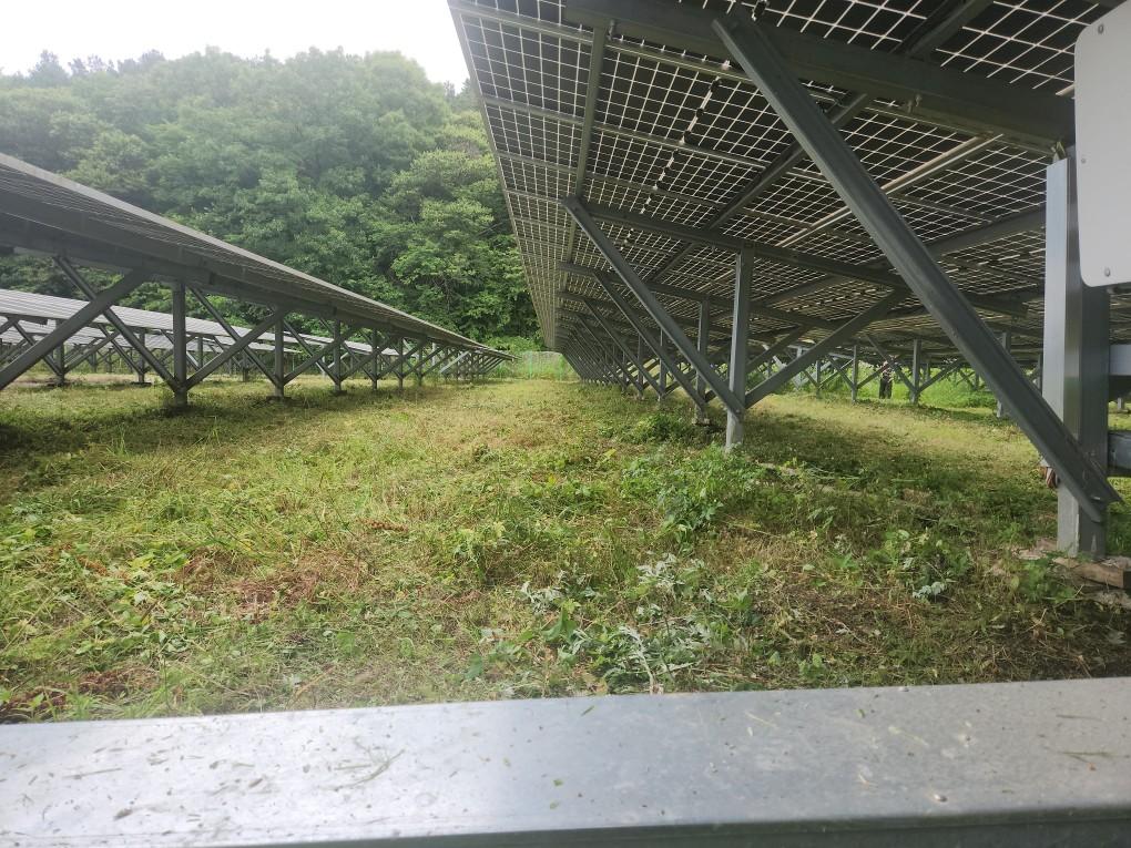 용천리 하늘용천발전소 예초 작업 후