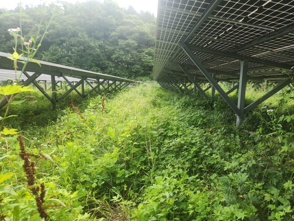 용천리 하늘용천발전소 예초 작업 전